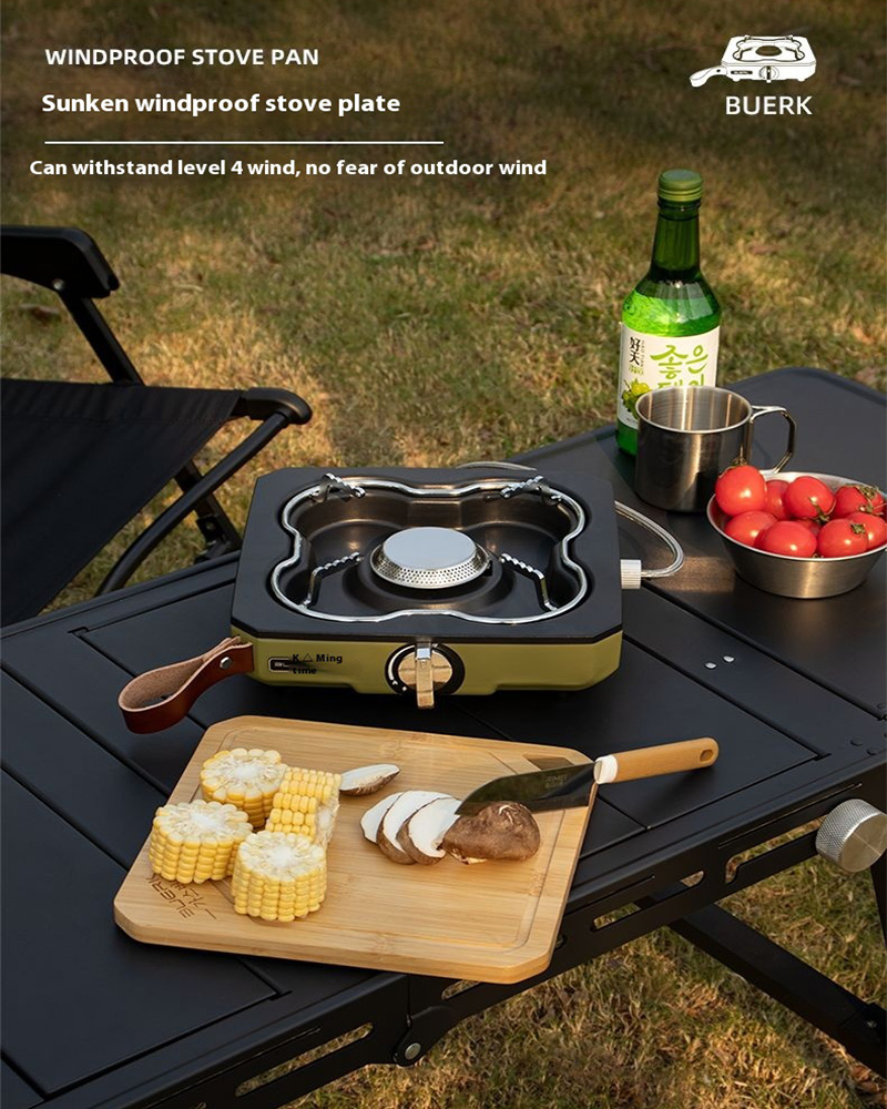 Buerk Desktop Outdoor Gasherd  – Camping Cooking Propane Bewertung und Preis