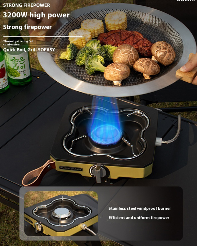 Buerk Desktop Outdoor Gasherd  – Camping Cooking Propane Bewertung und Preis